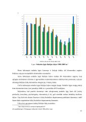 Užimtumo skatinimas Lietuvoje 15 puslapis