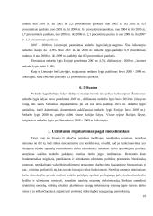 Užimtumo skatinimas Lietuvoje 19 puslapis