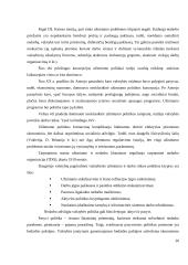 Užimtumo skatinimas Lietuvoje 20 puslapis