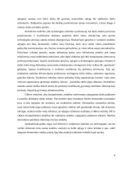 Užimtumo skatinimas Lietuvoje 8 puslapis