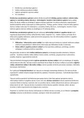 Šiaulių Lieporių gimnazijos organizacinė struktūra 2 puslapis