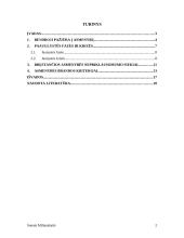 Asmenybės brendimas. Referatas 2 puslapis