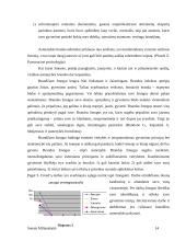 Asmenybės brendimas. Referatas 14 puslapis