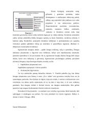 Asmenybės brendimas. Referatas 5 puslapis