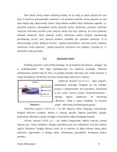 Asmenybės brendimas. Referatas 8 puslapis