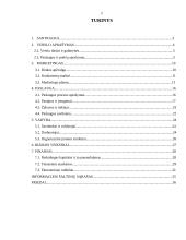 Soliarumo studijos "Saulės lova" verslo planas 2 puslapis