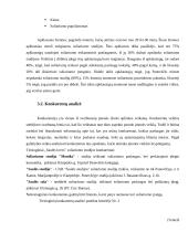 Soliarumo studijos "Saulės lova" verslo planas 11 puslapis