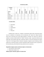 Soliarumo studijos "Saulės lova" verslo planas 12 puslapis