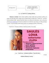 Soliarumo studijos "Saulės lova" verslo planas 14 puslapis