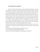 Soliarumo studijos "Saulės lova" verslo planas 16 puslapis