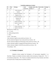 Soliarumo studijos "Saulės lova" verslo planas 17 puslapis