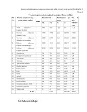 Soliarumo studijos "Saulės lova" verslo planas 18 puslapis