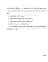 Soliarumo studijos "Saulės lova" verslo planas 19 puslapis