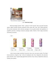 Soliarumo studijos "Saulės lova" verslo planas 7 puslapis