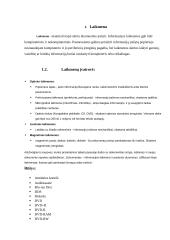 Laikmenos. Istorija, rūšys 4 puslapis