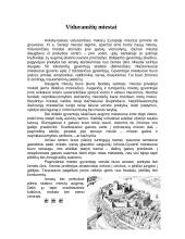 Viduramžių miestų apibūdinimas