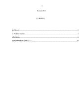 Teisininko vertinimas  2 puslapis