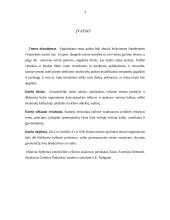 Teisininko vertinimas  3 puslapis