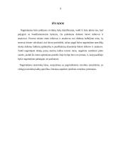 Teisininko vertinimas  9 puslapis