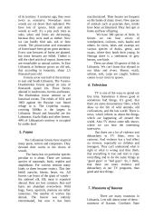 24 anglų rašinių temos 2 puslapis