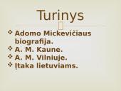 Adomas Mickevičius ir Lietuva 2 puslapis