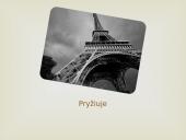 Adomas Mickevičius ir Lietuva 11 puslapis