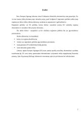 ES regioninė politika 2 puslapis