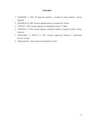 ES regioninė politika 17 puslapis