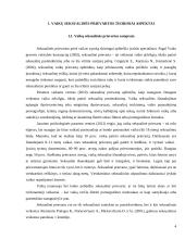  Socialinė pedagoginė pagalba vaikams, patyrusiems seksualinę prievartą 4 puslapis