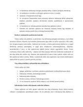 Vidaus auditas ir principai 4 puslapis