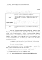 „Danske Banko“ baigiamoji praktikos ataskaita 19 puslapis