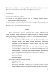 Ūminis prieširdžių virpėjimas 3 puslapis