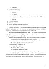 Ūminis prieširdžių virpėjimas 4 puslapis