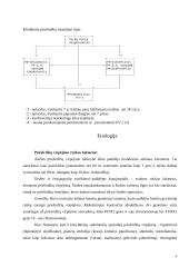 Ūminis prieširdžių virpėjimas 5 puslapis