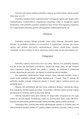 Ūminis prieširdžių virpėjimas 9 puslapis