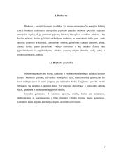 Biokuro granulės ir briketai 4 puslapis