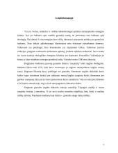 Biokuro granulės ir briketai 7 puslapis