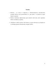 Biokuro granulės ir briketai 8 puslapis