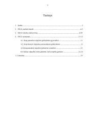 Vokietijos SSGG analizė 2 puslapis