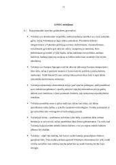 Vokietijos SSGG analizė 11 puslapis