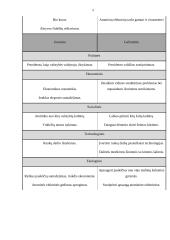 Vokietijos SSGG analizė 5 puslapis