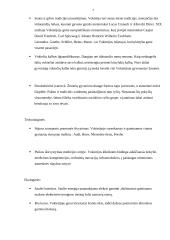 Vokietijos SSGG analizė 7 puslapis