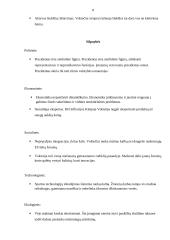 Vokietijos SSGG analizė 8 puslapis