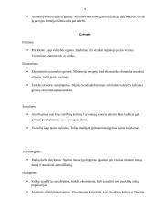 Vokietijos SSGG analizė 9 puslapis