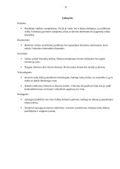 Vokietijos SSGG analizė 10 puslapis