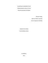 Sociometrijos tyrimas