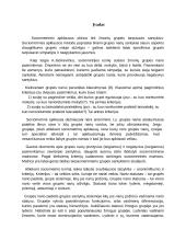 Sociometrijos tyrimas 3 puslapis