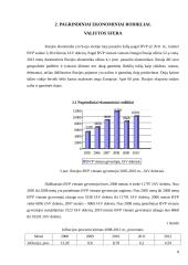 Rusijos ekonominė analizė. Kursinis darbas 8 puslapis