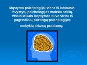 Mąstymas be kalbos 3 puslapis