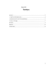 Lietuvos gyventojų emigracija 2 puslapis